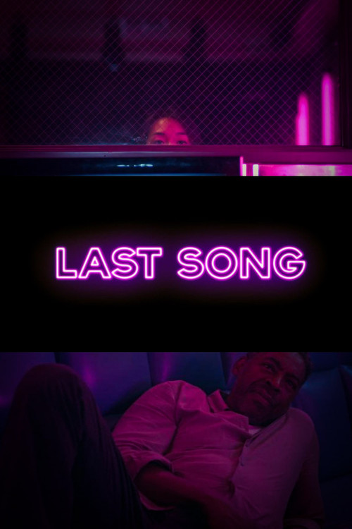 Movie poster for The Last Song (2014)