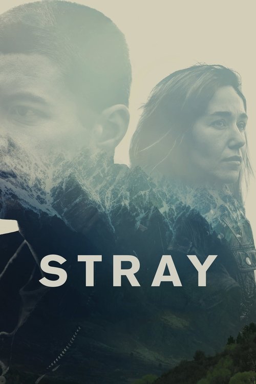 Movie poster for Stray (2018)
