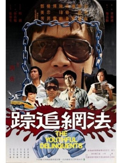 Movie poster for The Youthful Delinquents (1977)