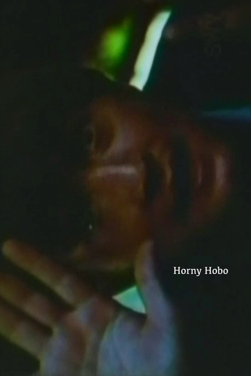 Movie poster for Horny Hobo (1969)