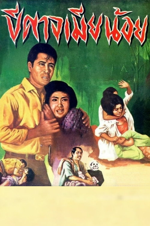 Movie poster for Demon Mistress (1966)