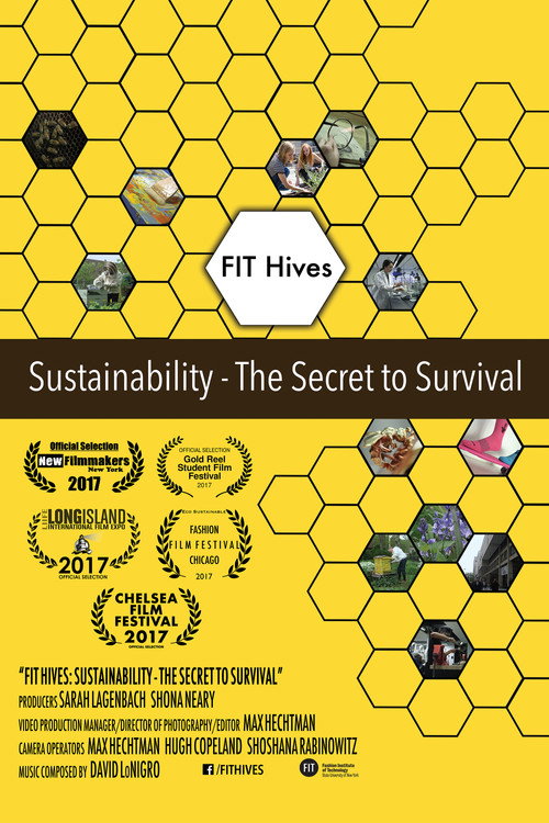 Movie poster for FIT Hives: Sustainability - The Secret to Survival (2017)