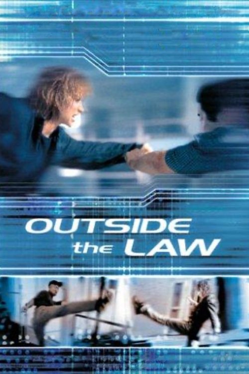 Movie poster for Outside the Law (2002)