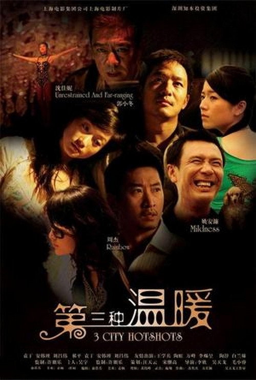 Movie poster for 3 City Hotshots (2006)
