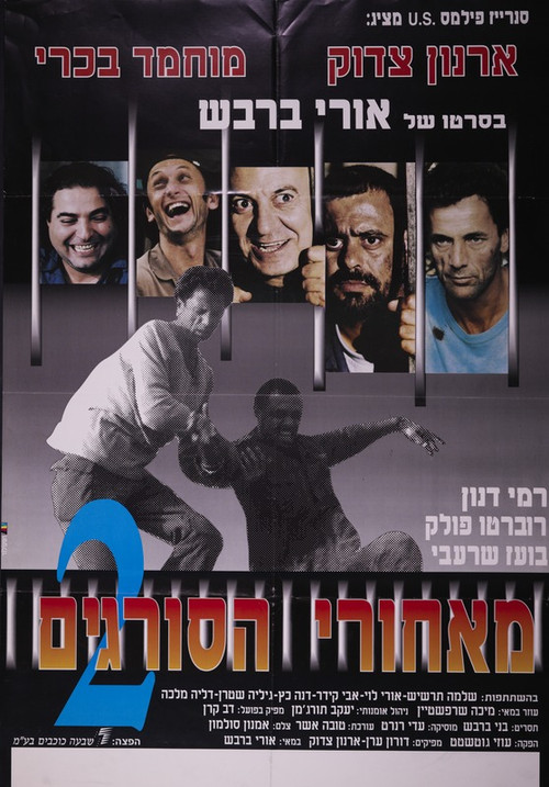 Movie poster for Beyond the Walls II (1992)