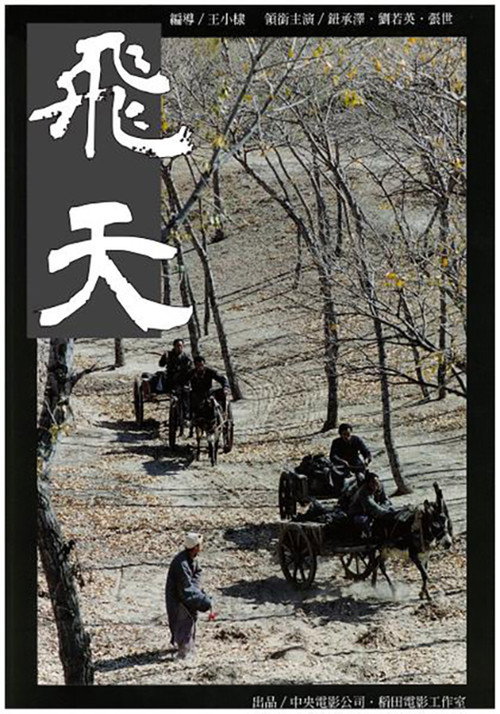 Movie poster for Accidental Legend (1995)