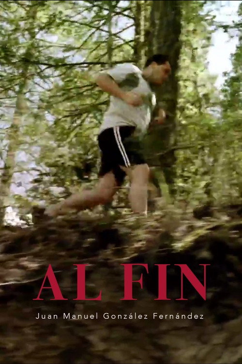 Movie poster for Al Fin (2006)