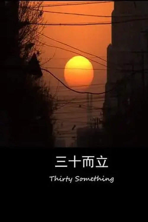 Movie poster for Thirty Something (2014)