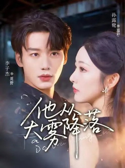 他从大雾降落 poster