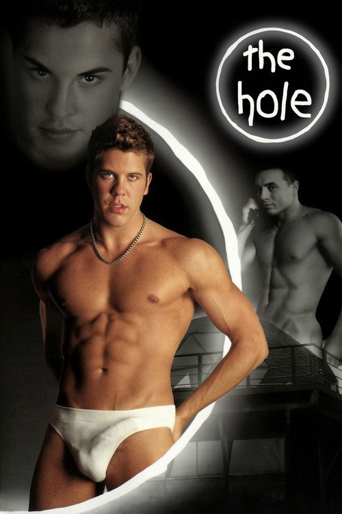 Movie poster for The Hole (2004)