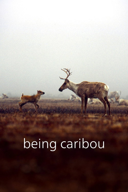 Movie poster for Being Caribou (2005)