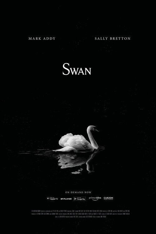 Movie poster for Swan (2020)