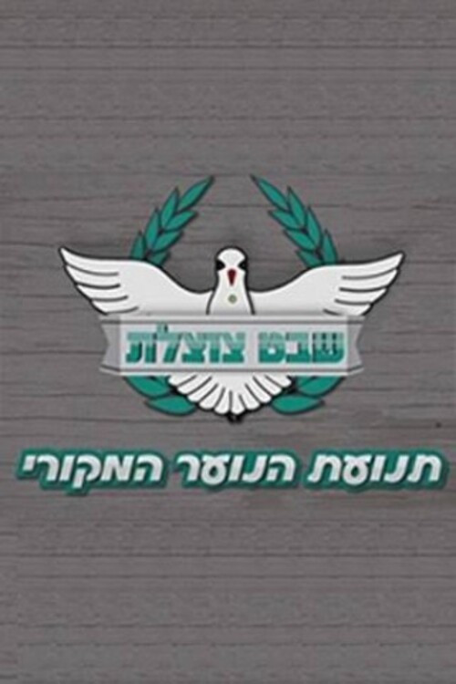 Series poster for Shevet Tzotzelet (2014)