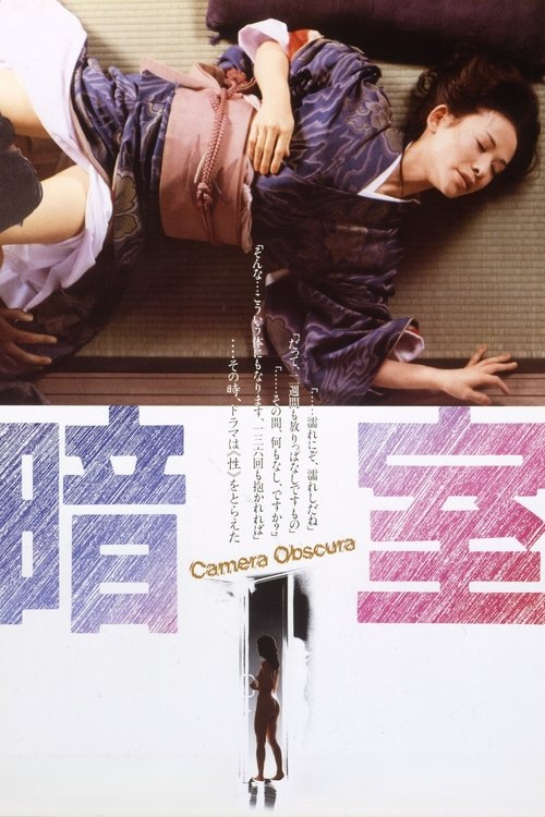 Movie poster for Dark Room (1983)