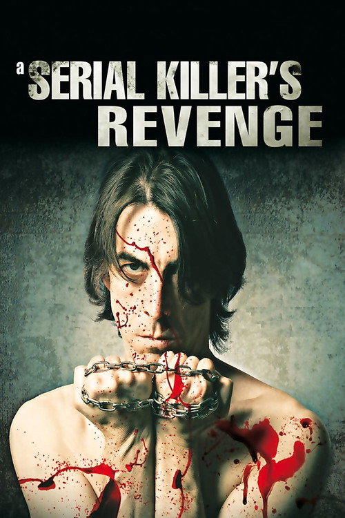 Movie poster for The Point of Regret (2011)