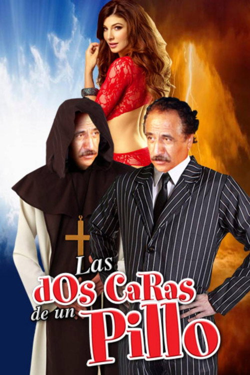 Movie poster for Las dos caras de un pillo (1992)