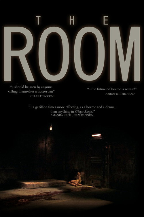 Movie poster for The Room (2007)