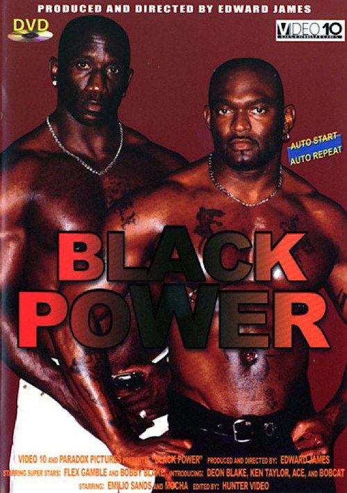 Movie poster for Black Power (1999)