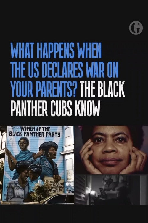 Movie poster for The Black Panther Cubs: when the revolution doesn't come (2025)