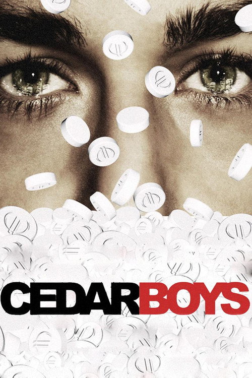 Movie poster for Cedar Boys (2009)