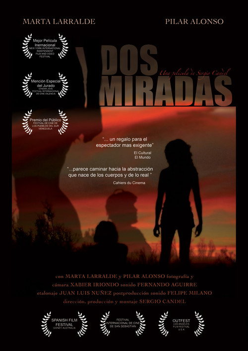 Movie poster for Two Looks (2007)