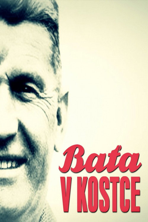 Series poster for Baťa v kostce (2014)