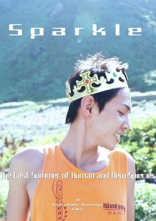 Movie poster for Sparkle (2018)