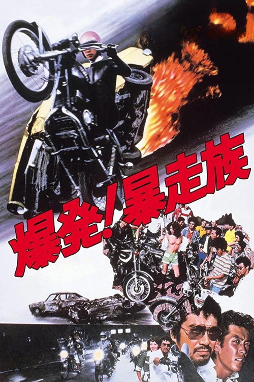 Movie poster for Detonation: Violent Riders (1975)