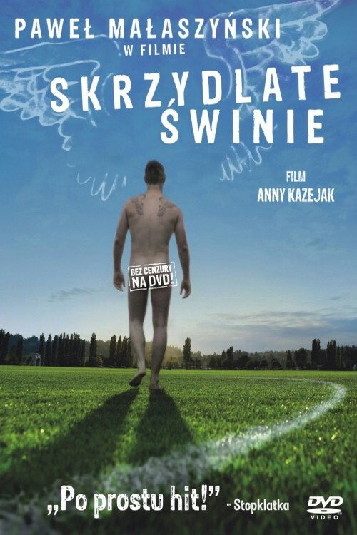 Movie poster for Flying Pigs (2010)