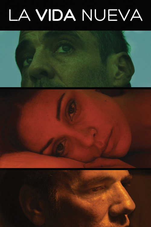 Movie poster for The New Life (2011)