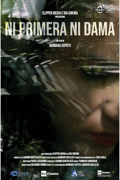 Ni primera ni dama poster