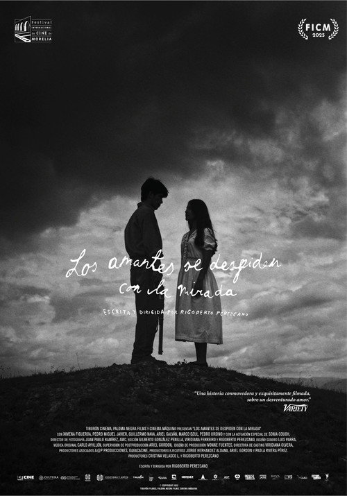 Movie poster for Lovers bid farewell with a glance (2025)