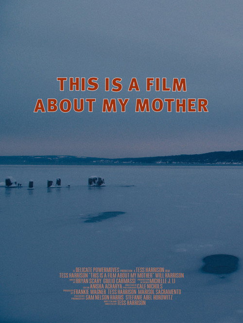 Movie poster for This Is a Film About My Mother (2022)