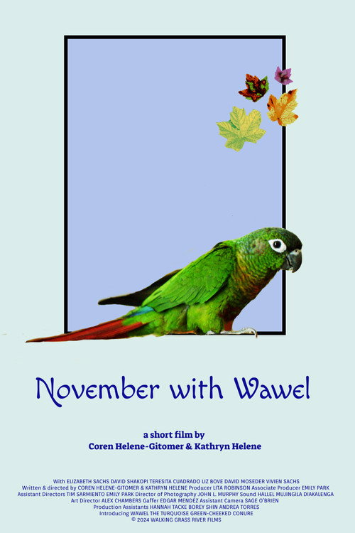 Movie poster for November with Wawel