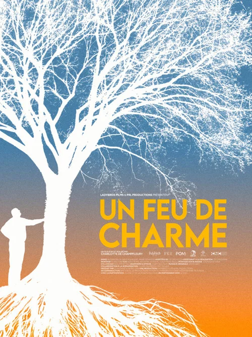 Movie poster for Un feu de charme