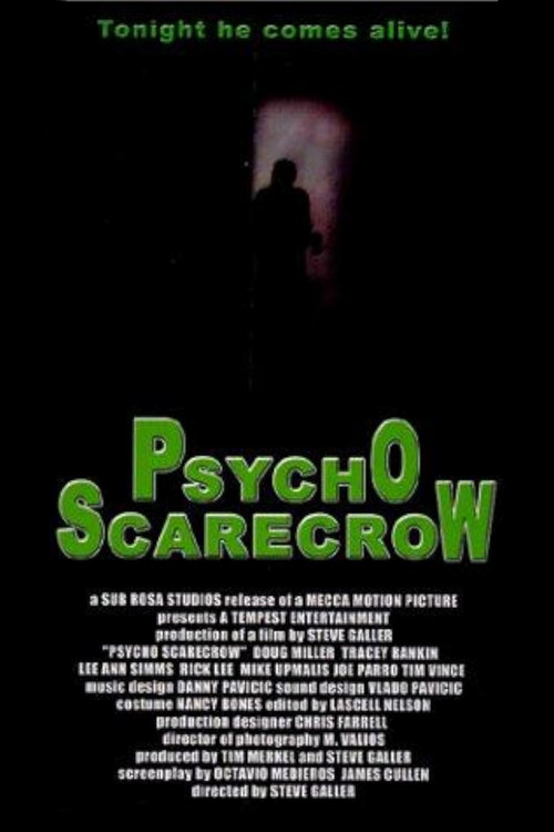Movie poster for Psycho Scarecrow (1996)