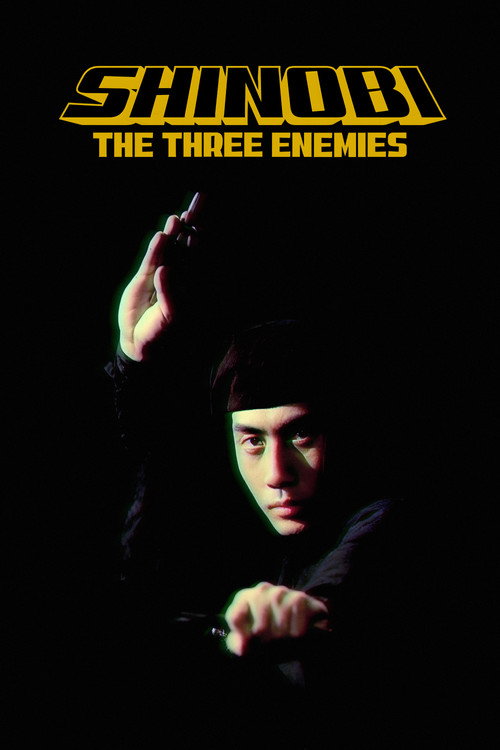 Movie poster for Shinobi no mono 8: The Three Enemies (1966)