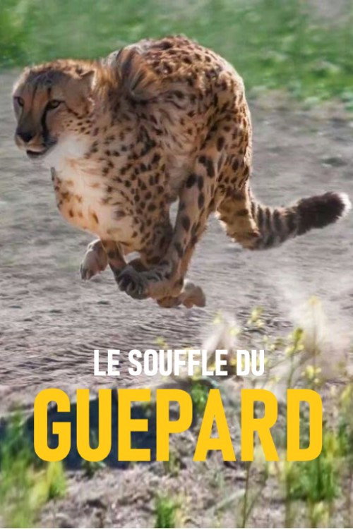 Movie poster for Le souffle du guépard (2018)