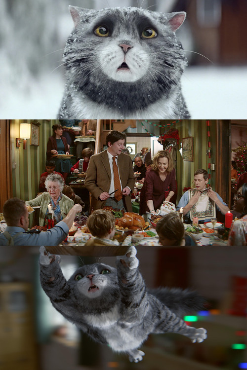 Movie poster for Sainsbury's: Mog's Christmas Calamity (2015)