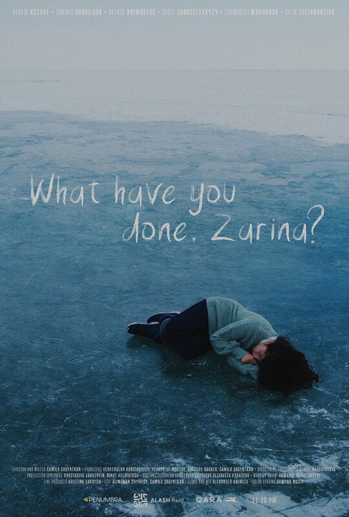 Movie poster for What have you done, Zarina? (2025)