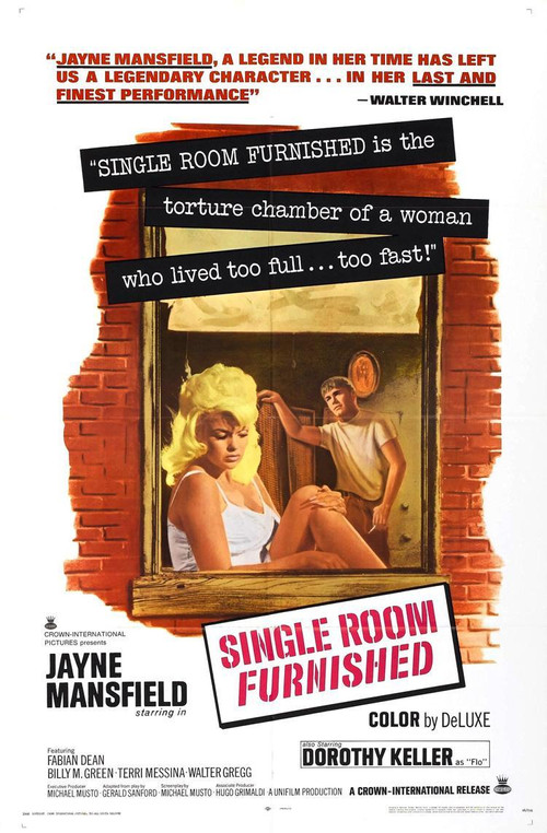 Movie poster for Single Room Furnished (1968)