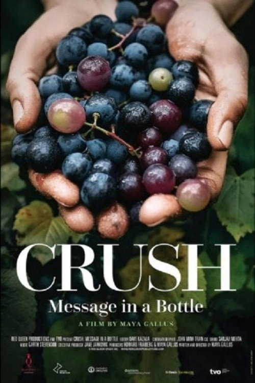 Movie poster for Crush: Message in a bottle