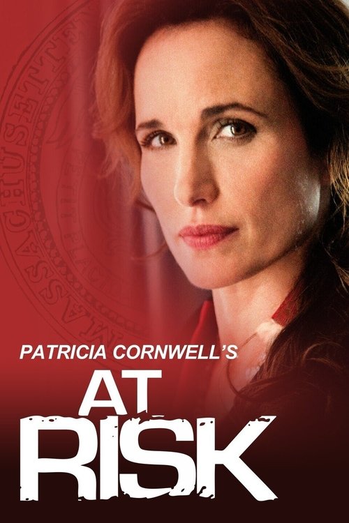 Movie poster for At Risk (2010)