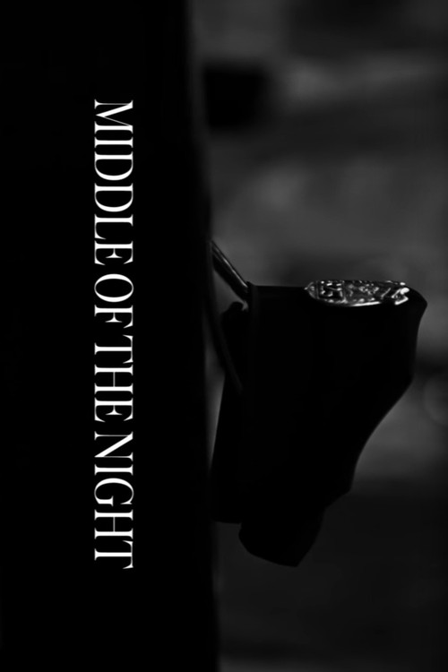 Movie poster for Middle of the Night (2015)