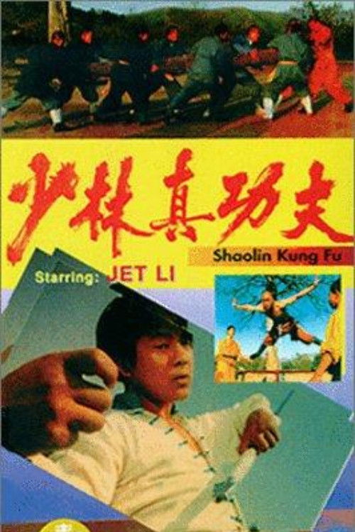 Movie poster for Shaolin Kung Fu (1994)