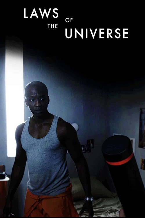 Movie poster for Laws of the Universe (2019)