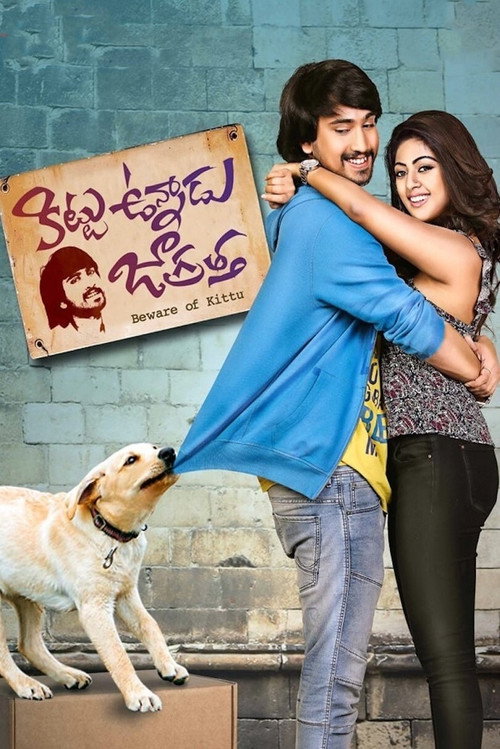 Movie poster for Kittu Unnadu Jagratha (2017)