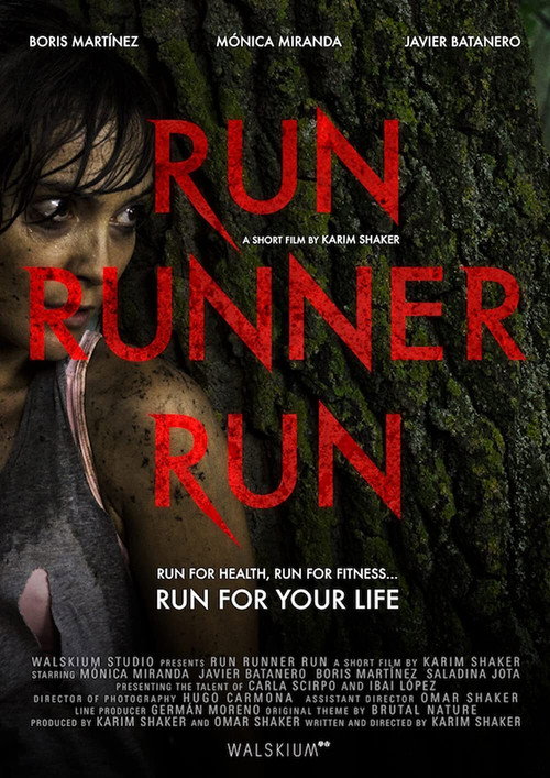 Movie poster for Run Runner Run (2017)
