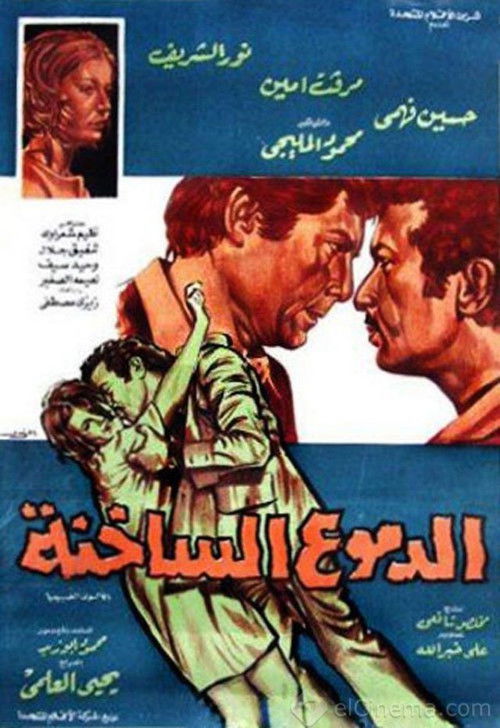 Movie poster for The Hot Tears (1976)