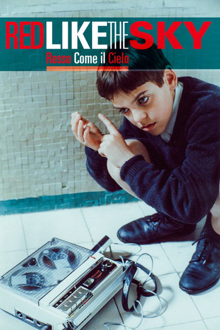Movie poster for Red Like the Sky (2006)